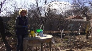 секреты правильной весенней обработки железным или медным купоросом