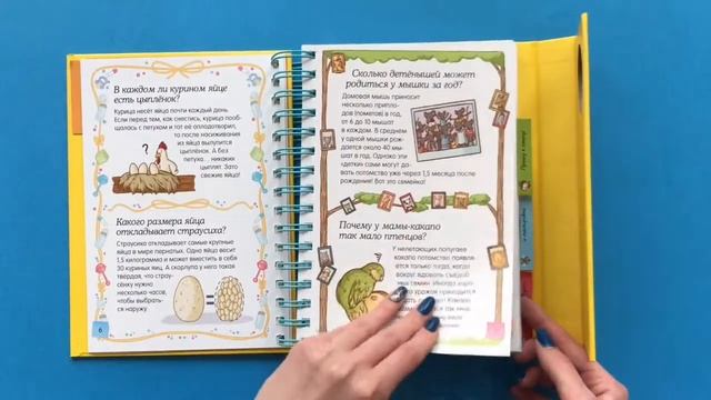 «Животные — это интересно!» смотреть онлайн