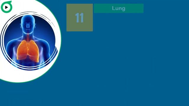 المستوى 2 | الحلقة 1 | كورس انجليزى 2021 смотреть онлайн