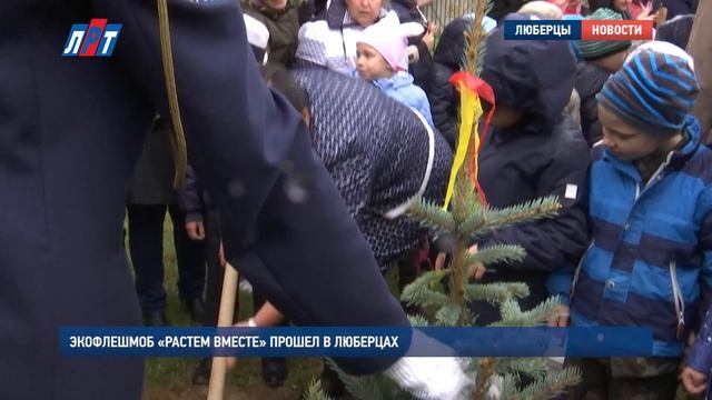 Экофлешмоб растем вместе прошел в люберцах