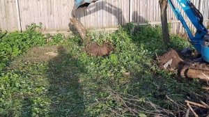 Зачистка территории от корней мини-экскаватором! Или "Kubota u15 vs Roots"