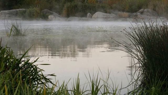 Только скажи это и станет легче. Преподобный Антоний Оптинский. смотреть онлайн