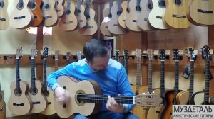 Гитара Wanderer CB2