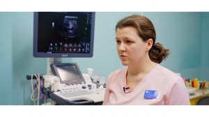 Что такое узи? Исследование органов и тканей/Центр Современной Педиатрии