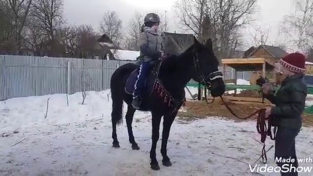 Первое занятие по джигитовке. Егор и Эмми. #лошади #вседле #кони #джигитовка #джигитуй #казачья смотреть онлайн