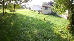 Hubsan x4 H107C 5.8 Ghz Fpv WHOOP AKK AIO Jumper T8SG PLUS Review