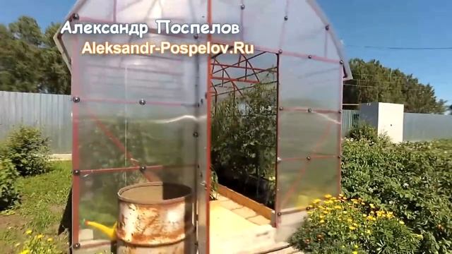 Самодельная теплица вагончик (павильон) - обзор и отзывы.