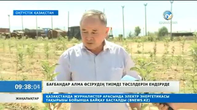 Шымкент ӘКК-нің инновациялық агротехнологиямен жасалған жаңа жобасы