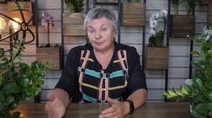 Почему НЕ цветёт Гладиолус ? Проблемы при выращивание Луковичных ✔️