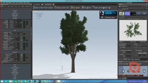 Уроки 3ds MAX. Создание дерева. Основы работы в speedTrees.