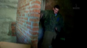 Занятие на кинологической площадке "уМНЫЙ НЕМЕЦ"