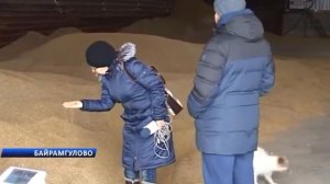 Необычная агрофирма расположилась в Байрамгуловском поселении