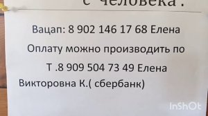 Сыр Семендяйка.Усадьба "Белая коза"