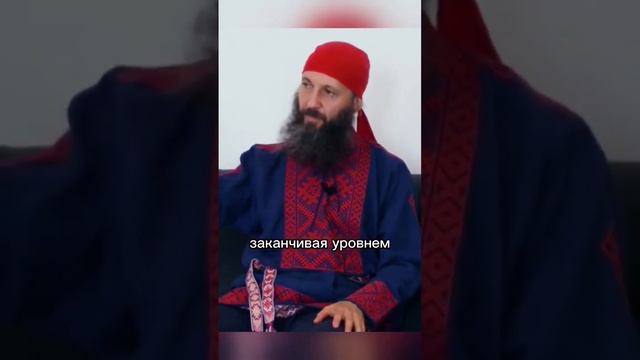 разница уровней развития мистика и хомячка