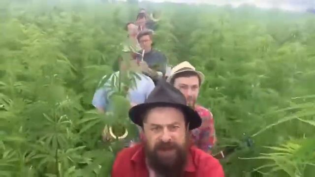 Добраночь - Нормальные Герои всегда идут в обход