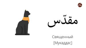 Путешествуем в Египет 2022! Словарь туриста: фараоны, пирамиды, достопримечательности.