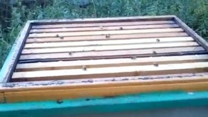 Обработка Аква- фло.