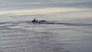 jet surf Мотосерфинг2 двоих не потянула не хватает самодельного водомета 5