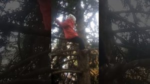 Лазим по деревьям