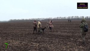 ТОП 10 поимок 2016г.  по версии канала "Охота. Борзые собаки"