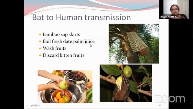 Nipah Virus Infection - an update