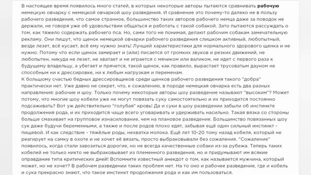 Немецкая овчарка|Шоу и рабочее разведение|какую выбрать? смотреть онлайн