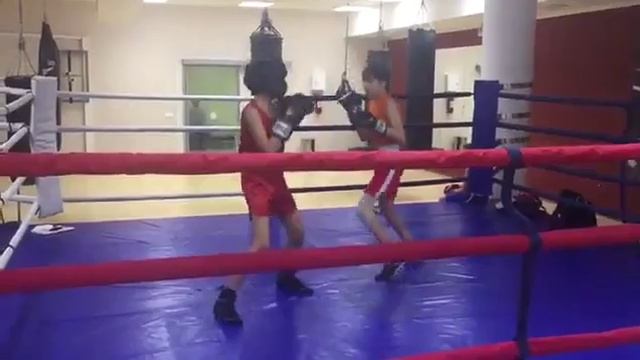 Секция бокса с Виноградовым Алексеем в TAURAS-FITNESS смотреть онлайн