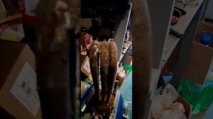 Тэн электрокотла спустя 2 года работы на воде...