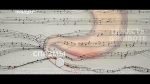 Тримедат 15 секунд