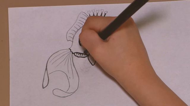 Как нарисовать золотую рыбку, рыбка рисунок для детей карандашом