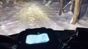 Cfmoto cforce 1000 eps. Едем по ночному зимнему лесу. #cforce1000 #cfmoto#зимнийлес#квадроциклы#лес