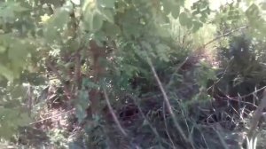 ? ЗАСТРЯЛ В ГРЯЗИ - девятка ПРОЕДЕТ по бездорожью? Проходимость ВАЗ 2109-21099. Оффроад покатушки..