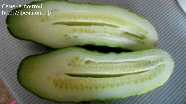 Почему огурцы пустые внутр смотреть онлайн