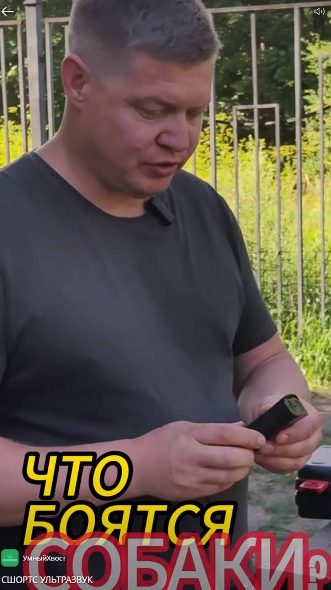 Чего боятся собаки? #shorts #собака #агрессивнаясобака #дрессировкасобаки #собаки смотреть онлайн