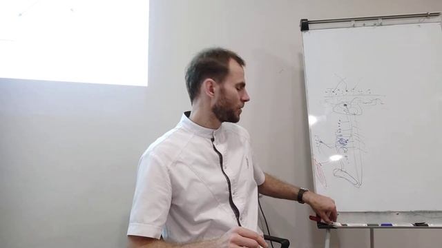 Классический массаж и нервная система. (лекция, часть 1)