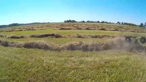 Сгребание сена в валки. Мтз 82.1 & грабли-ворошилка Agrolead