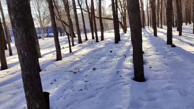 #паркизимой #городзимой ПАРКИ И ГОРОД ЖДУТ ВЕСНУ. смотреть онлайн