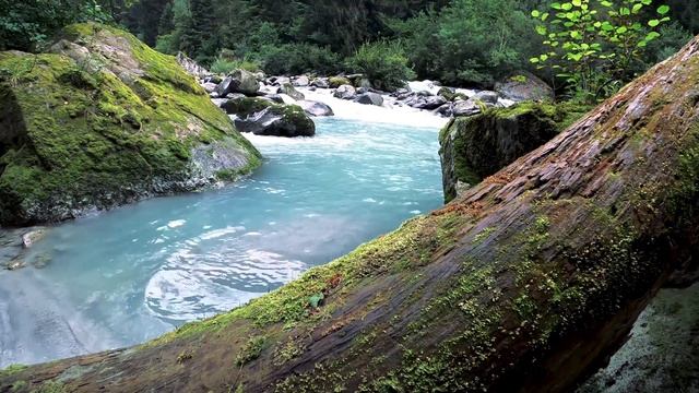 Waterfall Relax Music | Deep Sleep | Detox Negative Emotions ? смотреть онлайн