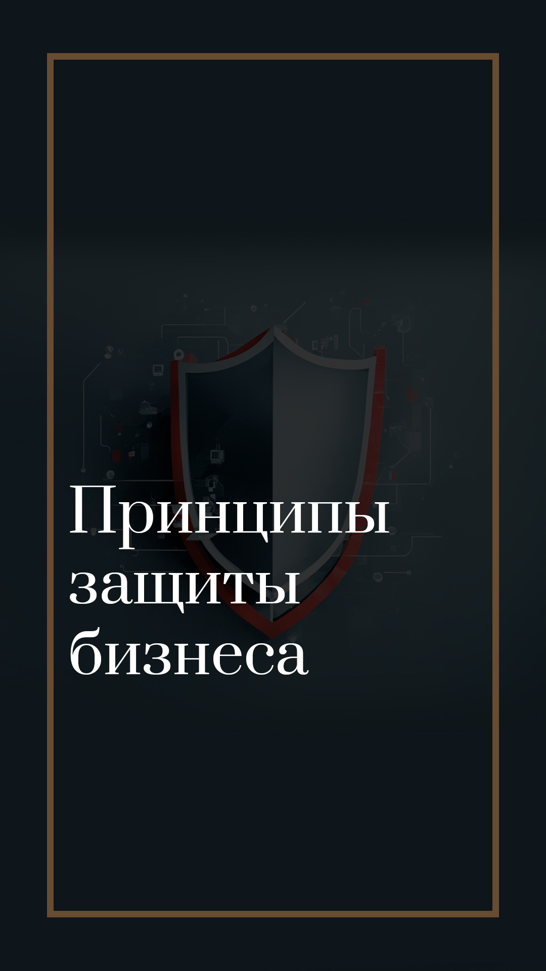 Принципы защиты бизнеса #бизнесадвокат