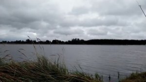 Снасть КРОКОДИЛ. Снасть работает отлично. НЕМАН. РАЗЛИВЫ?