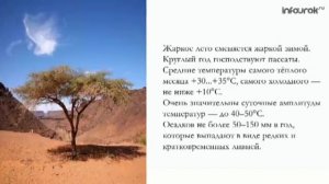 Климат Африки 7 класс -Тропический КП