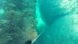 Лисья бухта 2023 июль часть 2 подводная охота 2023 подводная охота Крым 2023 морская охота 2023