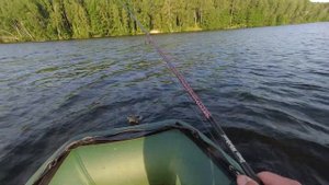 Летний спиннинг в утреннюю жару на Десногорском водохранилище