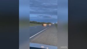 Машина сбила лося???