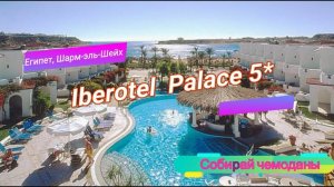 Отзыв об отеле Iberotel Palace 5* (Египет, Шарм-эль-Шейх)