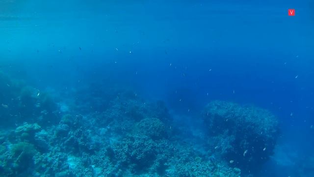 Акаба Иордания. Красное море.AQUA. Тур в Иорданию.