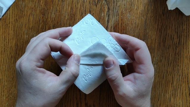 Как сделать из туалетной бумаги, оригами "Складной Веер". How to make toilet paper, origami "Fan".