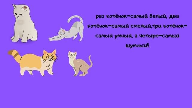 котята