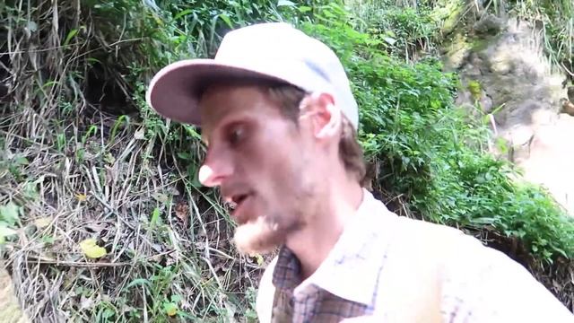 ШРИ-ЛАНКА : СВОИМ ХОДОМ В ЦЕНТР ОСТРОВА | ЭЛЛА смотреть онлайн