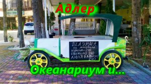 Адлер 2023, океанариум и не только